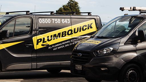 Professional Birchville Plumbers